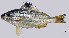  ( - TeB1_Lpu)  @11 [ ] Unspecified (default): All Rights Reserved  Unspecified Unspecified