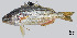  ( - TeB2_Lpu)  @11 [ ] Unspecified (default): All Rights Reserved  Unspecified Unspecified