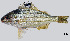  ( - TeB3_Lpu)  @11 [ ] Unspecified (default): All Rights Reserved  Unspecified Unspecified