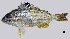  ( - TeB4_Lpu)  @11 [ ] Unspecified (default): All Rights Reserved  Unspecified Unspecified