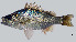  ( - TeD1_Lpu)  @11 [ ] Unspecified (default): All Rights Reserved  Unspecified Unspecified