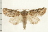  ( - PFC-2006-1087)  @14 [ ] CreativeCommons - Attribution (2008) Unspecified Centre for Biodiversity Genomics