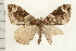  ( - PFC-2006-1090)  @14 [ ] CreativeCommons - Attribution (2008) Unspecified Centre for Biodiversity Genomics