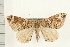  ( - PFC-2006-1093)  @14 [ ] CreativeCommons - Attribution (2008) Unspecified Centre for Biodiversity Genomics