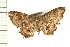  ( - PFC-2006-1104)  @14 [ ] CreativeCommons - Attribution (2008) Unspecified Centre for Biodiversity Genomics