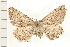  ( - PFC-2006-1107)  @11 [ ] CreativeCommons - Attribution (2008) Unspecified Centre for Biodiversity Genomics