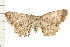  ( - PFC-2006-1109)  @12 [ ] CreativeCommons - Attribution (2008) Unspecified Centre for Biodiversity Genomics
