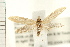  ( - PFC-2006-1154)  @13 [ ] CreativeCommons - Attribution (2008) Unspecified Centre for Biodiversity Genomics
