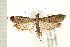  ( - PFC-2006-1160)  @14 [ ] CreativeCommons - Attribution (2008) Unspecified Centre for Biodiversity Genomics