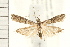  ( - PFC-2006-1161)  @14 [ ] CreativeCommons - Attribution (2008) Unspecified Centre for Biodiversity Genomics