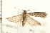  ( - PFC-2006-1167)  @14 [ ] CreativeCommons - Attribution (2008) Unspecified Centre for Biodiversity Genomics