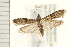  ( - PFC-2006-1168)  @14 [ ] CreativeCommons - Attribution (2008) Unspecified Centre for Biodiversity Genomics