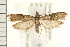  ( - PFC-2006-1175)  @14 [ ] CreativeCommons - Attribution (2008) Unspecified Centre for Biodiversity Genomics