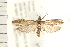  ( - PFC-2006-1177)  @14 [ ] CreativeCommons - Attribution (2008) Unspecified Centre for Biodiversity Genomics