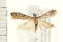  ( - PFC-2006-1178)  @14 [ ] CreativeCommons - Attribution (2008) Unspecified Centre for Biodiversity Genomics