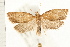  ( - PFC-2006-1202)  @13 [ ] CreativeCommons - Attribution (2008) Unspecified Centre for Biodiversity Genomics