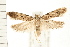  ( - PFC-2006-1204)  @14 [ ] CreativeCommons - Attribution (2008) Unspecified Centre for Biodiversity Genomics