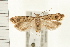 ( - PFC-2006-1211)  @14 [ ] CreativeCommons - Attribution (2008) Unspecified Centre for Biodiversity Genomics
