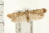  ( - PFC-2006-1214)  @14 [ ] CreativeCommons - Attribution (2008) Unspecified Centre for Biodiversity Genomics