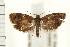  ( - PFC-2006-0035)  @14 [ ] CreativeCommons - Attribution (2008) Unspecified Centre for Biodiversity Genomics