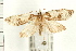  ( - PFC-2006-0056)  @13 [ ] CreativeCommons - Attribution (2008) Unspecified Centre for Biodiversity Genomics