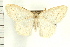  ( - PFC-2006-0109)  @14 [ ] CreativeCommons - Attribution (2008) Unspecified Centre for Biodiversity Genomics
