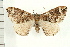 ( - PFC-2006-0110)  @14 [ ] CreativeCommons - Attribution (2008) Unspecified Centre for Biodiversity Genomics