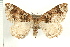  ( - PFC-2006-0113)  @14 [ ] CreativeCommons - Attribution (2008) Unspecified Centre for Biodiversity Genomics