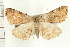  ( - PFC-2006-0119)  @14 [ ] CreativeCommons - Attribution (2008) Unspecified Centre for Biodiversity Genomics