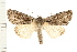  ( - PFC-2006-0175)  @14 [ ] CreativeCommons - Attribution (2008) Unspecified Centre for Biodiversity Genomics