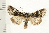  ( - PFC-2006-0178)  @14 [ ] CreativeCommons - Attribution (2008) Unspecified Centre for Biodiversity Genomics