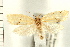  ( - PFC-2006-0186)  @13 [ ] CreativeCommons - Attribution (2008) Unspecified Centre for Biodiversity Genomics