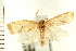  ( - PFC-2006-0187)  @13 [ ] CreativeCommons - Attribution (2008) Unspecified Centre for Biodiversity Genomics