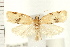  ( - PFC-2006-0188)  @14 [ ] CreativeCommons - Attribution (2008) Unspecified Centre for Biodiversity Genomics