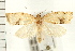  ( - PFC-2006-0189)  @14 [ ] CreativeCommons - Attribution (2008) Unspecified Centre for Biodiversity Genomics