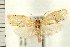 ( - PFC-2006-0190)  @13 [ ] CreativeCommons - Attribution (2008) Unspecified Centre for Biodiversity Genomics