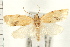  ( - PFC-2006-0192)  @14 [ ] CreativeCommons - Attribution (2008) Unspecified Centre for Biodiversity Genomics