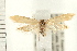  ( - PFC-2006-0201)  @13 [ ] CreativeCommons - Attribution (2008) Unspecified Centre for Biodiversity Genomics