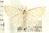  ( - PFC-2006-0214)  @14 [ ] CreativeCommons - Attribution (2008) Unspecified Centre for Biodiversity Genomics