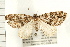  ( - PFC-2006-0215)  @14 [ ] CreativeCommons - Attribution (2008) Unspecified Centre for Biodiversity Genomics