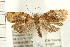  ( - PFC-2006-0218)  @14 [ ] CreativeCommons - Attribution (2008) Unspecified Centre for Biodiversity Genomics