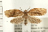  ( - PFC-2006-0220)  @14 [ ] CreativeCommons - Attribution (2008) Unspecified Centre for Biodiversity Genomics
