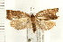  ( - PFC-2006-0221)  @12 [ ] CreativeCommons - Attribution (2008) Unspecified Centre for Biodiversity Genomics