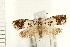  ( - PFC-2006-0228)  @14 [ ] CreativeCommons - Attribution (2008) Unspecified Centre for Biodiversity Genomics