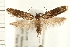  ( - PFC-2006-0234)  @14 [ ] CreativeCommons - Attribution (2008) Unspecified Centre for Biodiversity Genomics