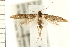  ( - PFC-2006-0251)  @14 [ ] CreativeCommons - Attribution (2008) Unspecified Centre for Biodiversity Genomics