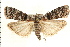  ( - PFC-2006-0473)  @14 [ ] CreativeCommons - Attribution (2008) Unspecified Centre for Biodiversity Genomics