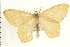  ( - PFC-2006-0474)  @14 [ ] CreativeCommons - Attribution (2008) Unspecified Centre for Biodiversity Genomics