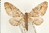  ( - PFC-2006-0486)  @14 [ ] CreativeCommons - Attribution (2008) Unspecified Centre for Biodiversity Genomics