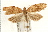  ( - PFC-2006-0493)  @14 [ ] CreativeCommons - Attribution (2008) Unspecified Centre for Biodiversity Genomics